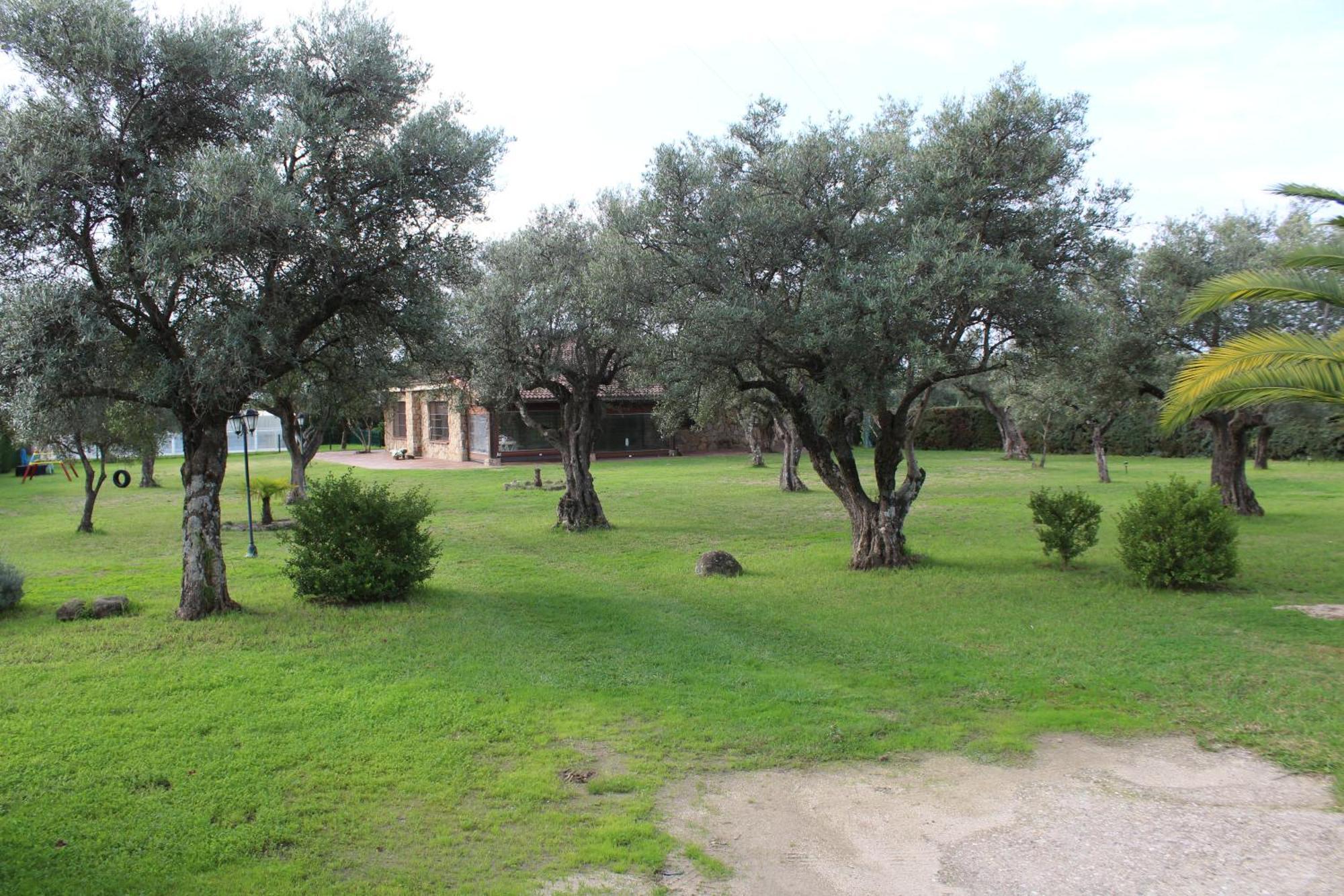 La Huertarrona Διαμέρισμα Candeleda Εξωτερικό φωτογραφία
